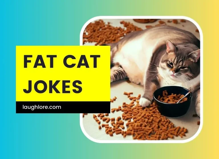 100 Fat Cat Jokes to Make Your Day Meow-nificent