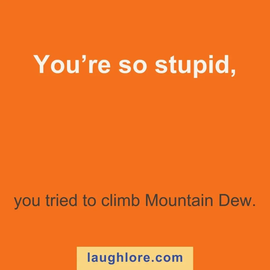 Text-based image displaying a burned joke: You’re so stupid, you tried to climb Mountain Dew.