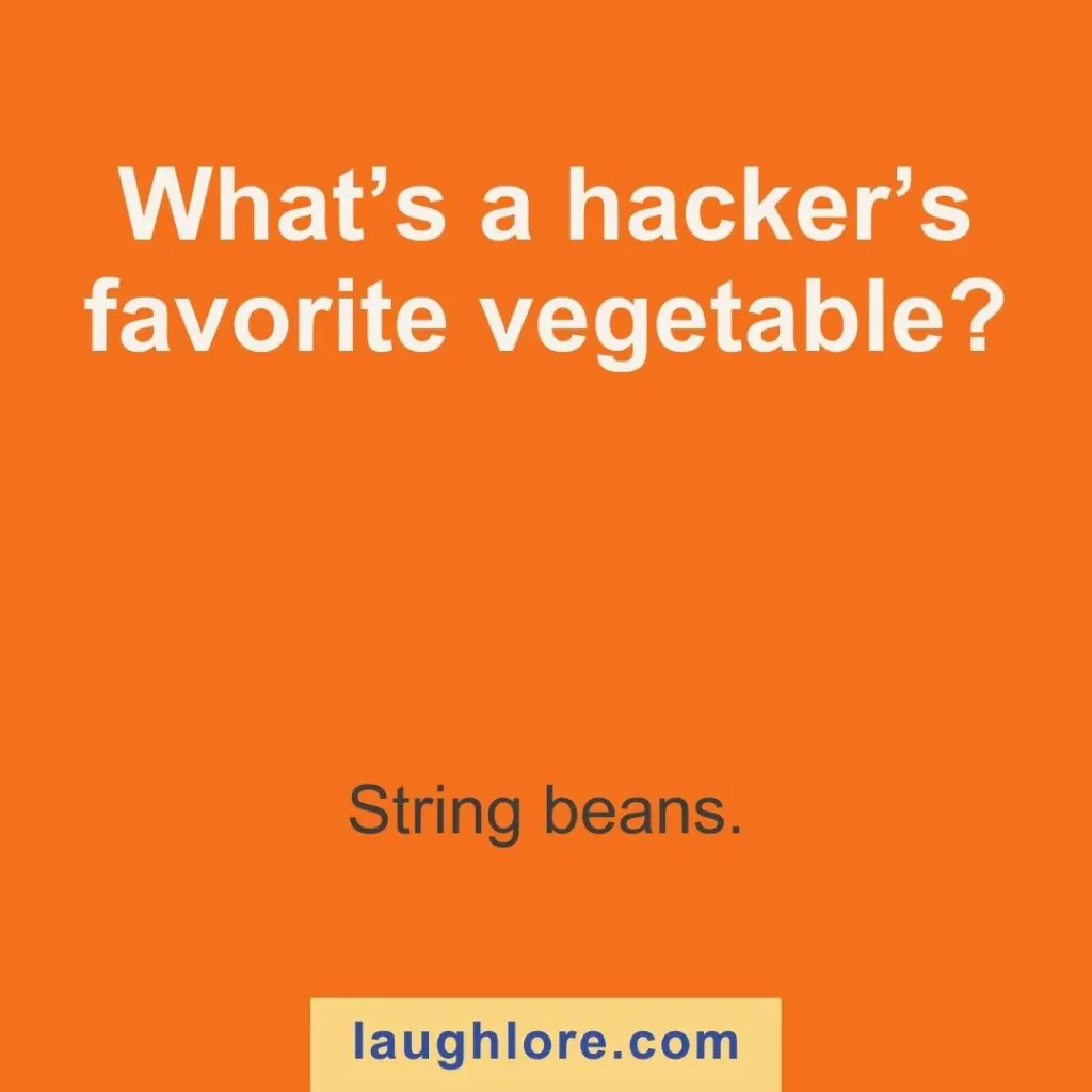 Text-based image displaying a hacker joke: What’s a hacker’s favorite vegetable? String beans.