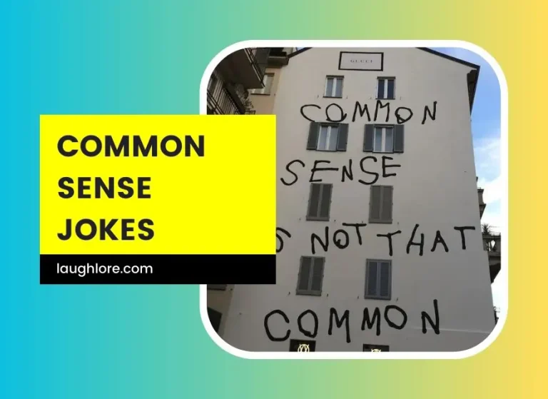 108 Common Sense Jokes