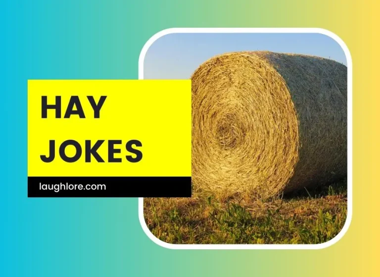 101 Hay Jokes