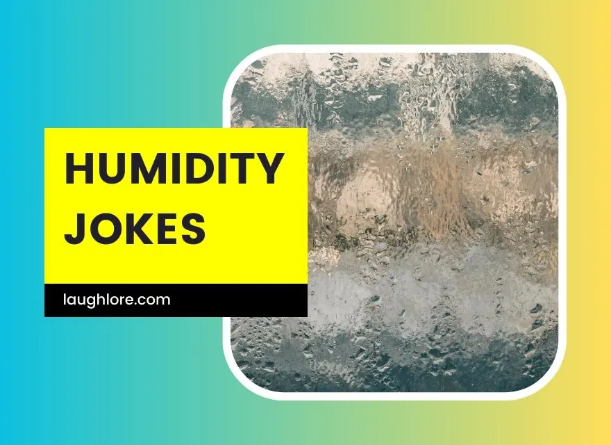 Humidity Jokes