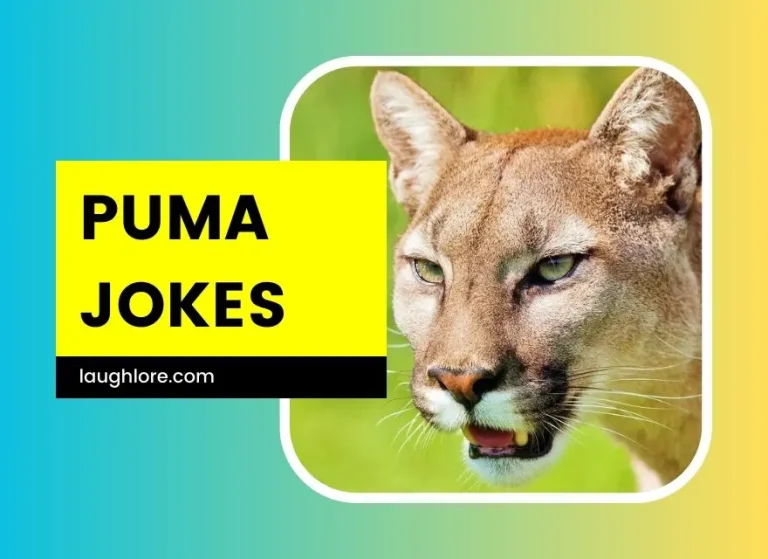 101 Puma Jokes