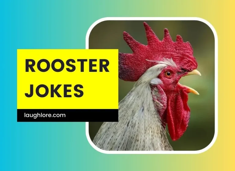 100 Rooster Jokes