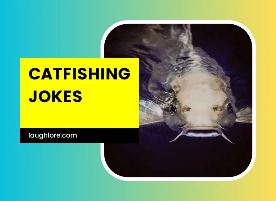 Catfishing Jokes