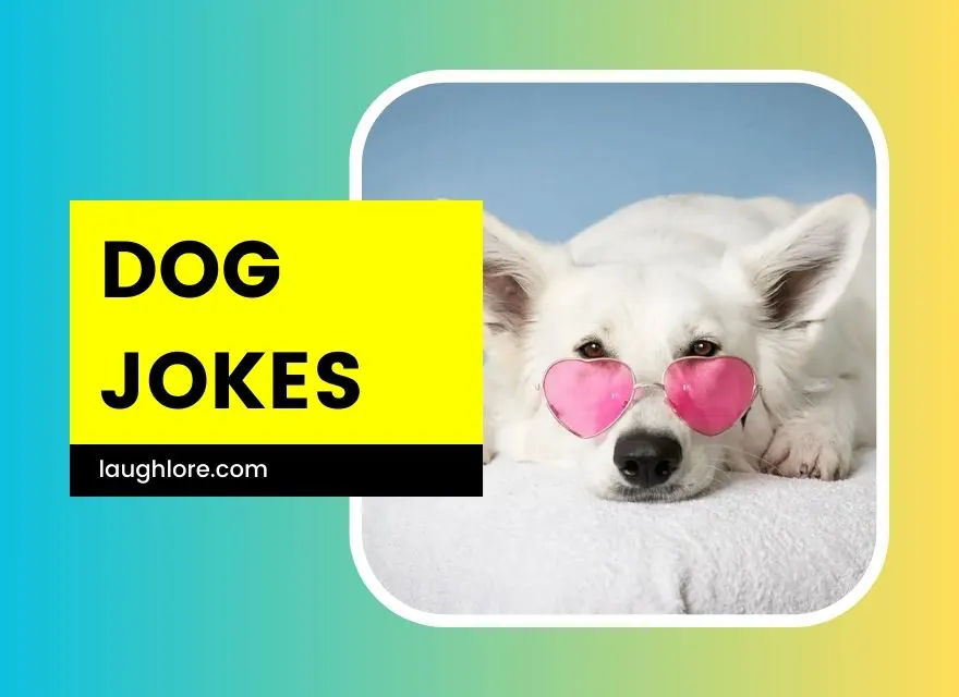 150 Dog Jokes - Laugh Lore