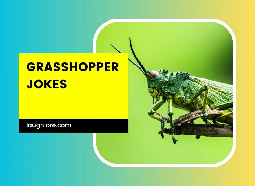Grasshopper Jokes