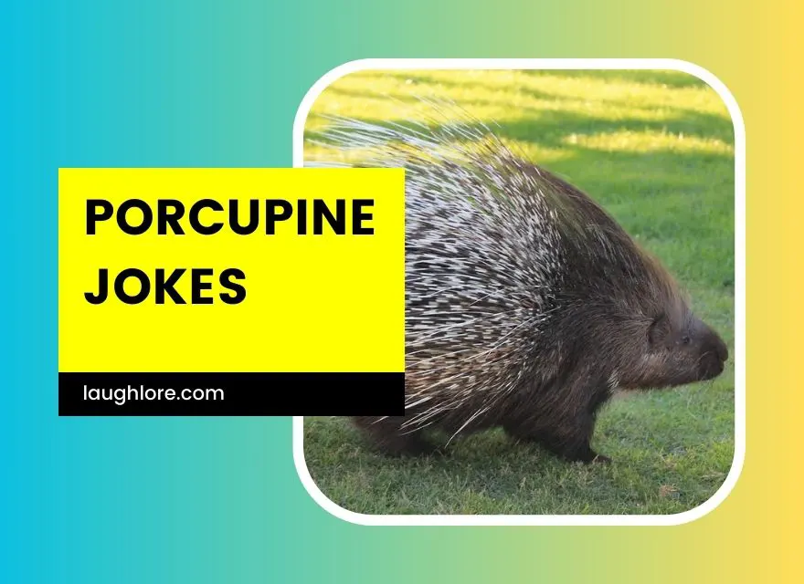 Porcupine Jokes