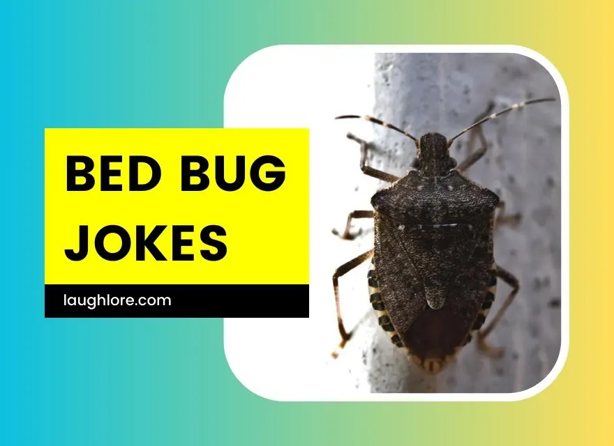 Bed Bug Jokes