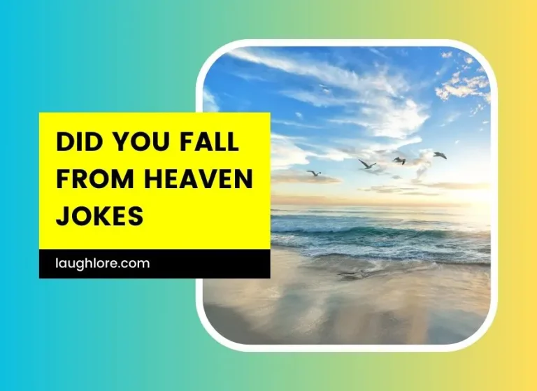 95 Did You Fall From Heaven Jokes