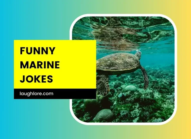 99 Funny Marine Jokes