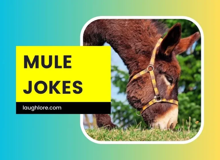 101 Mule Jokes