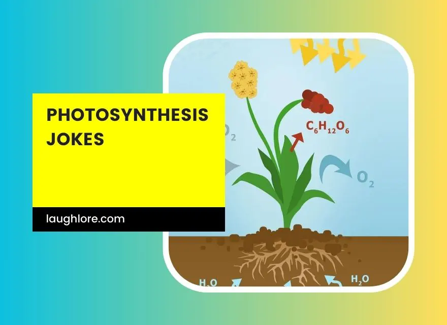 Photosynthesis Jokes