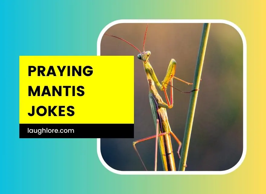 101 Praying Mantis Jokes