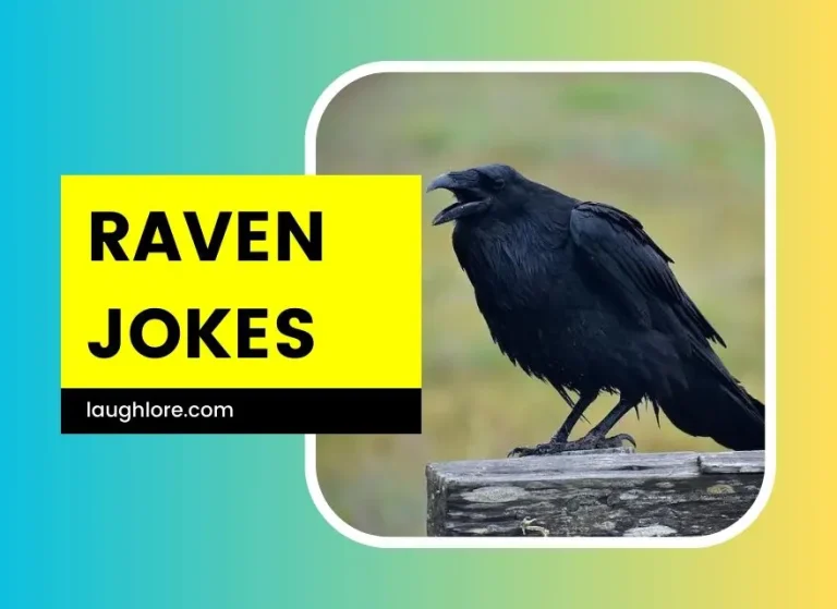 101 Raven Jokes