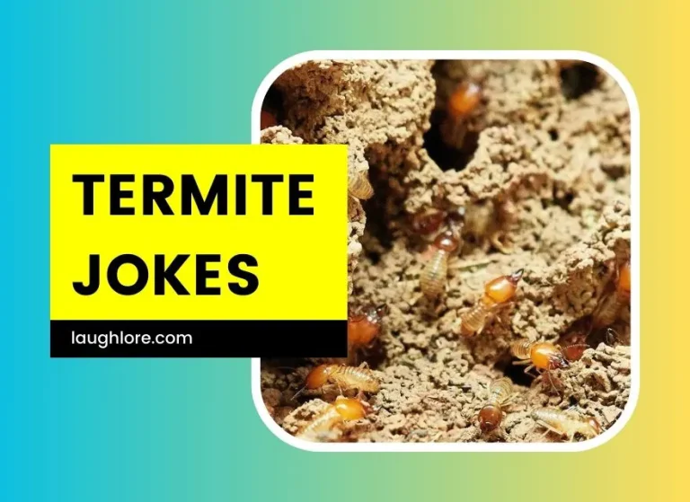 101 Termite Jokes