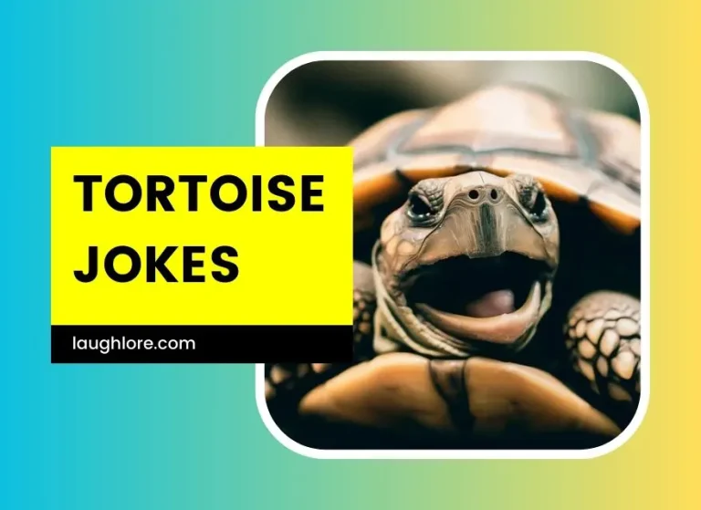 101 Tortoise Jokes
