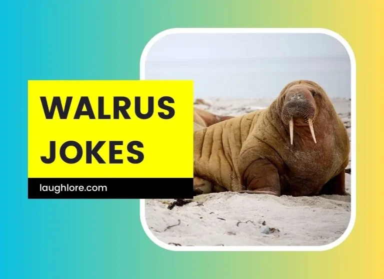 100 Walrus Jokes