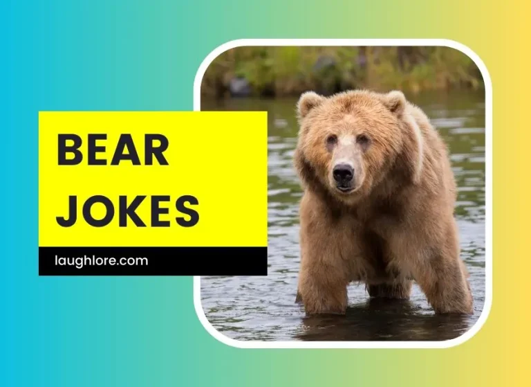 101 Bear Jokes