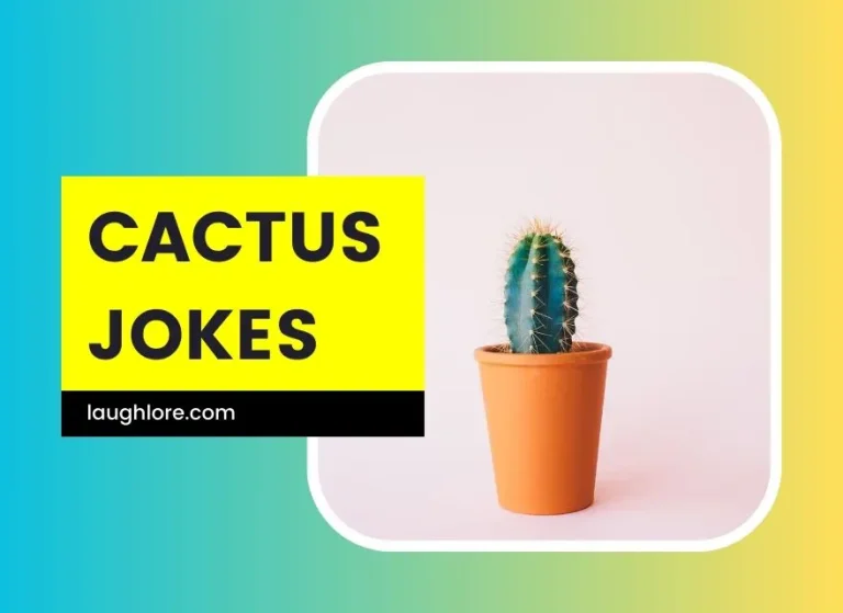 150 Cactus Jokes