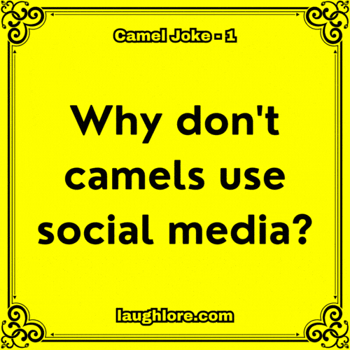 Camel Joke 1