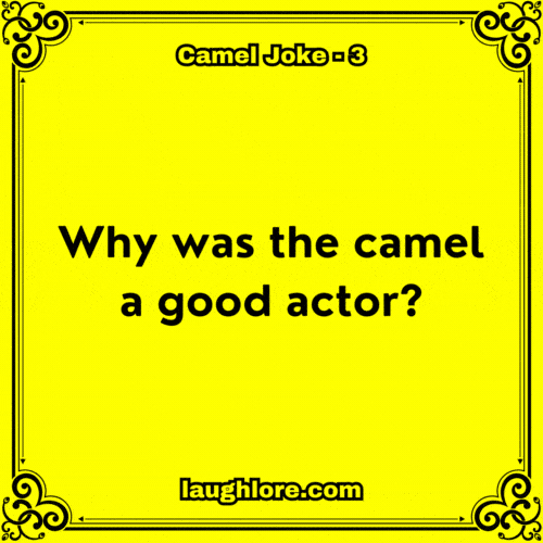 Camel Joke 3