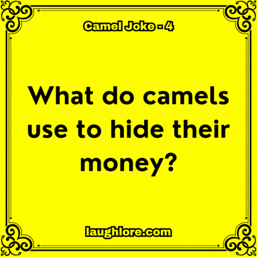 Camel Joke 4