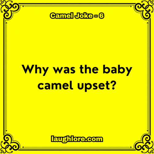 Camel Joke 6
