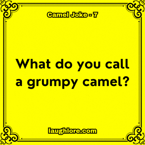 Camel Joke 7