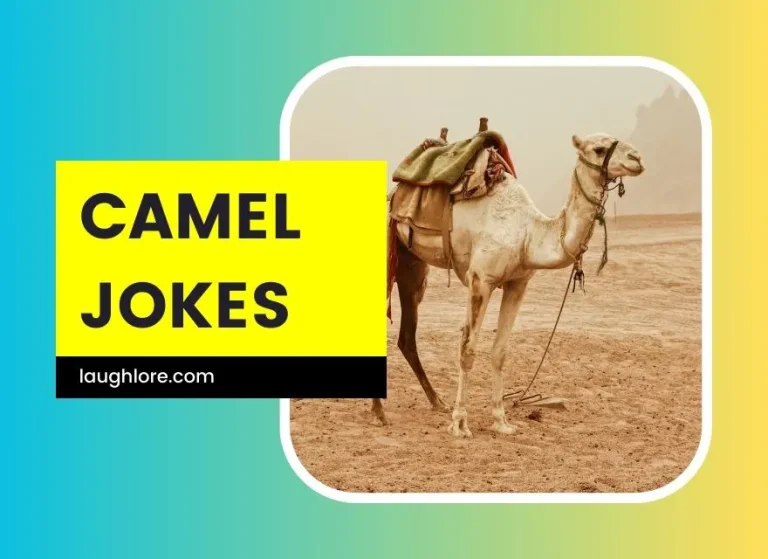 119 Camel Jokes