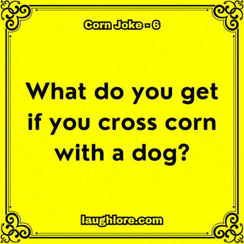 Corn Joke 6