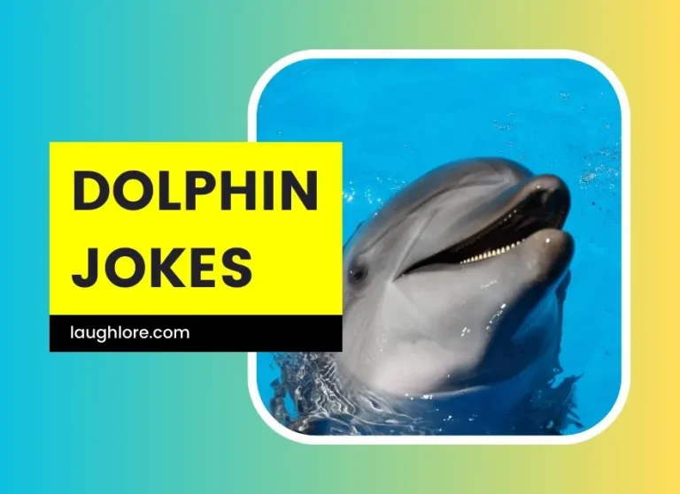 150 Dolphin Jokes