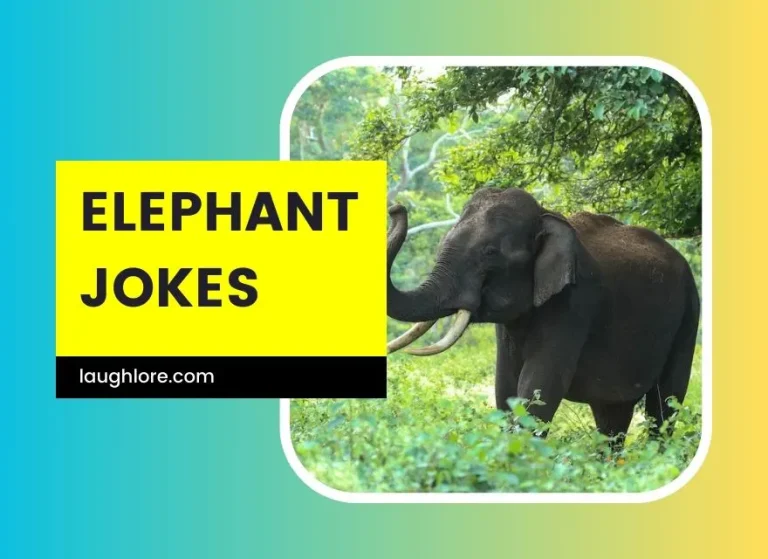 150 Elephant Jokes