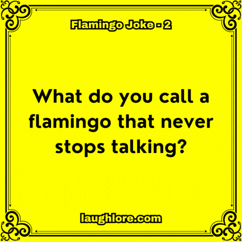 Flamingo Joke 2