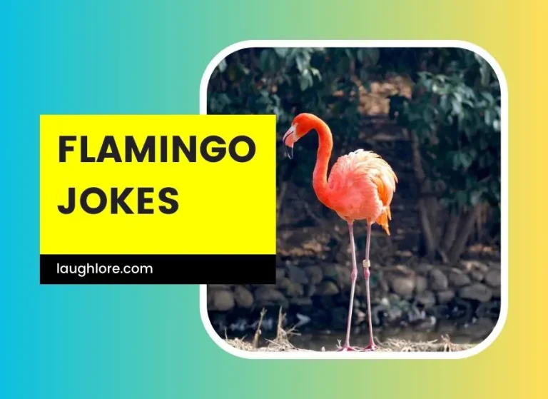 109 Flamingo Jokes