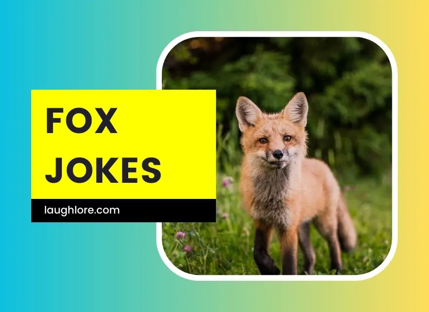 Fox Jokes