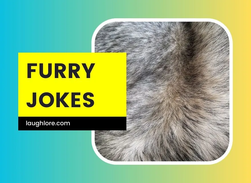 Furry Jokes