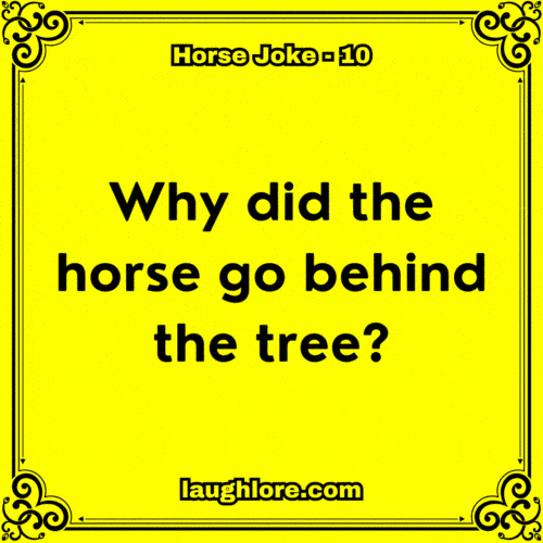 Horse Joke 10