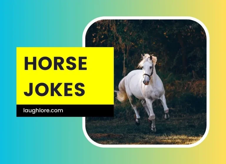 123 Horse Jokes