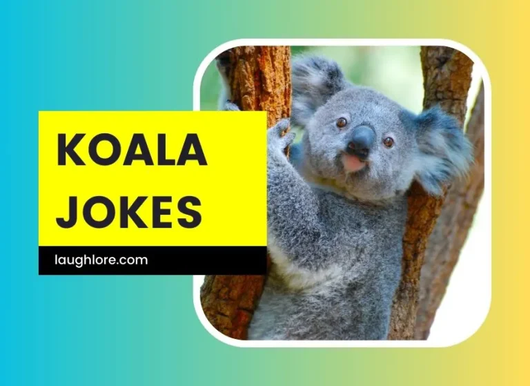 125 Koala Jokes