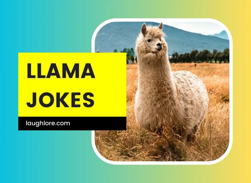 Llama Jokes