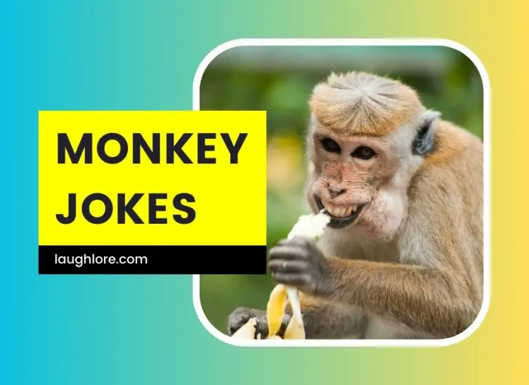 150 Monkey Jokes
