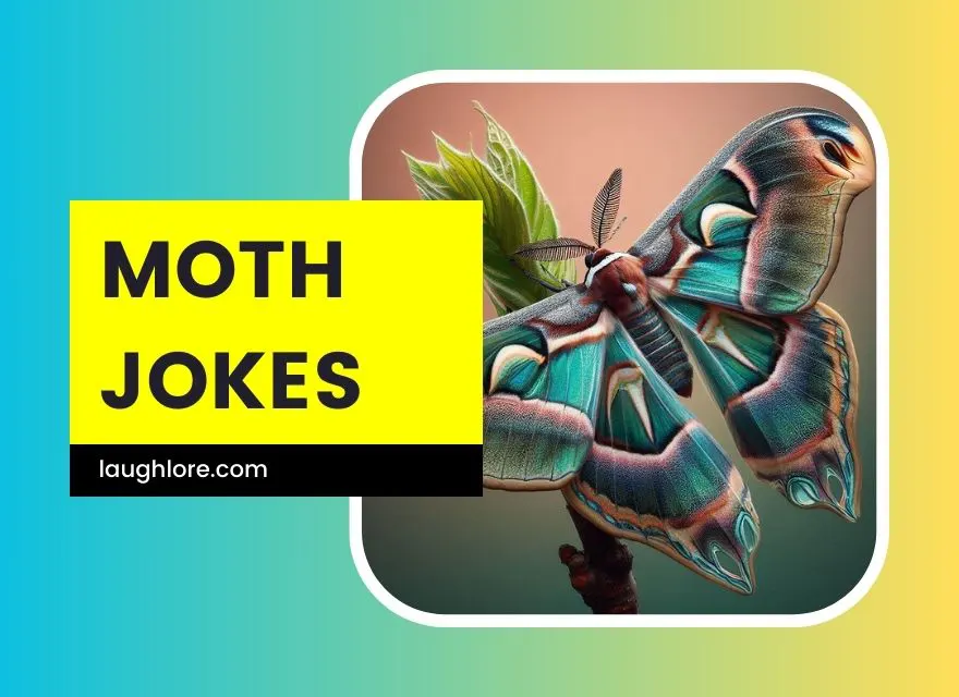 Moth Jokes