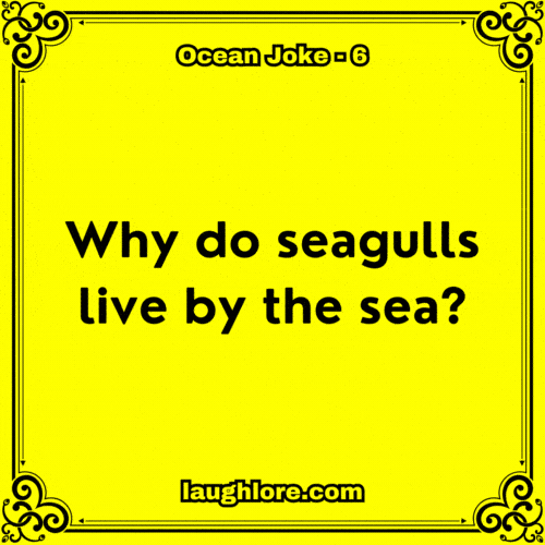 Ocean Joke 6