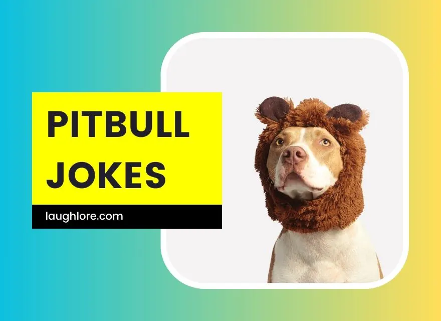 Pitbull Jokes