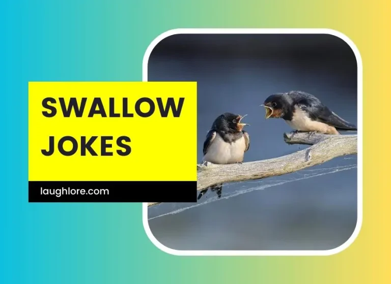99 Swallow Jokes