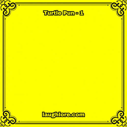 Turtle Pun 1