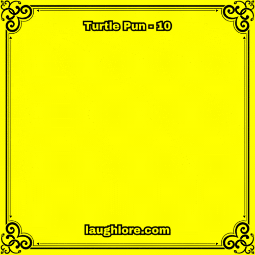Turtle Pun 10