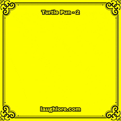 Turtle Pun 2