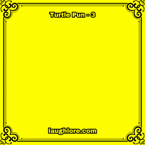Turtle Pun 3